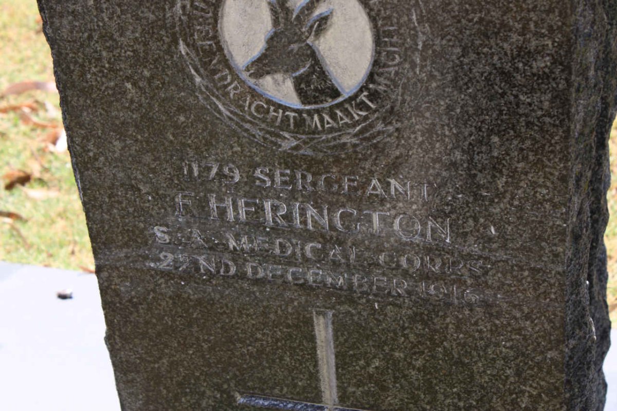 HERINGTON F. -1916