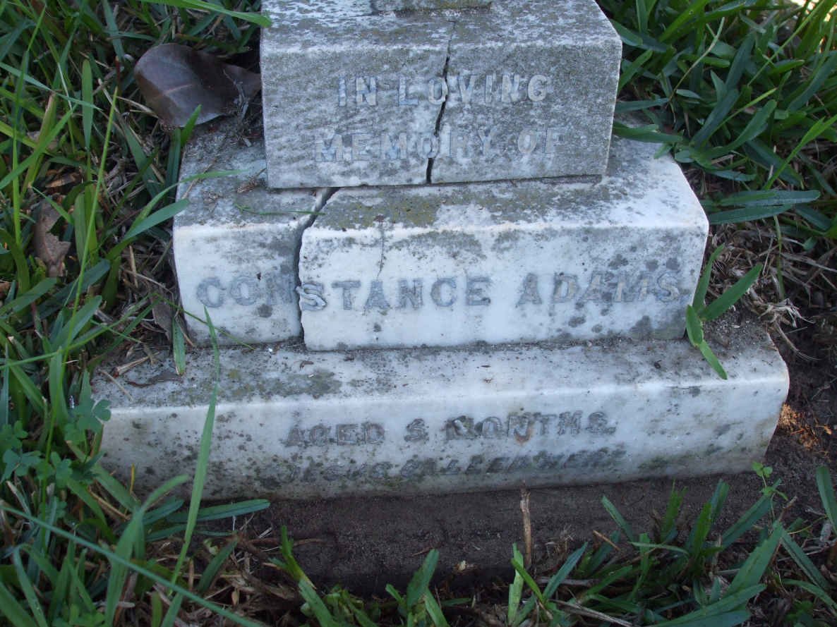 ADAMS Constance