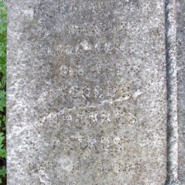 BESTER Jacobus Johannes Petrus 1921-1965 :: BESTER Mother -1965