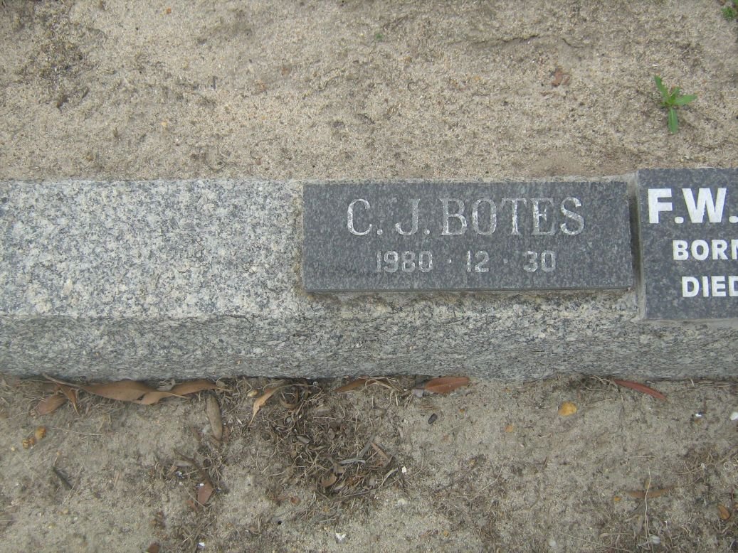 BOTES C.J. -1980