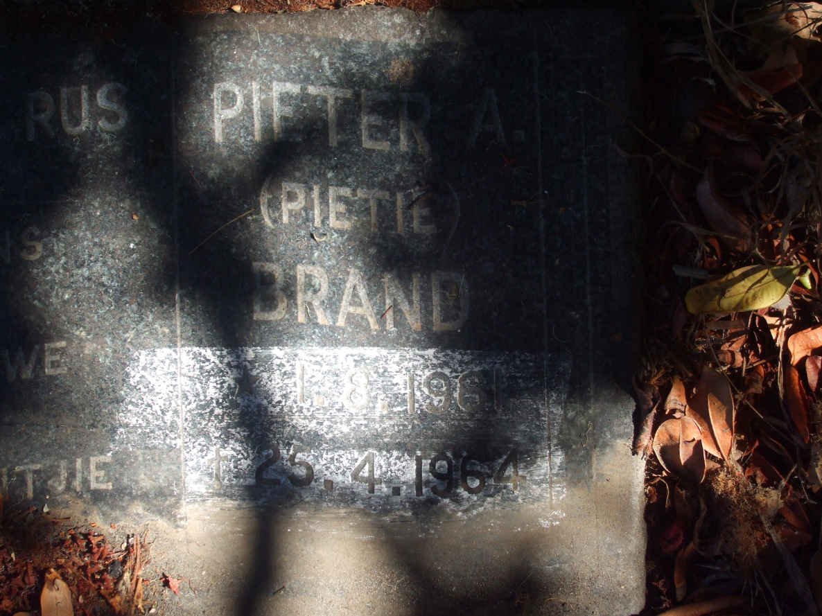 BRAND Petrus Pieter A. 1961-1964