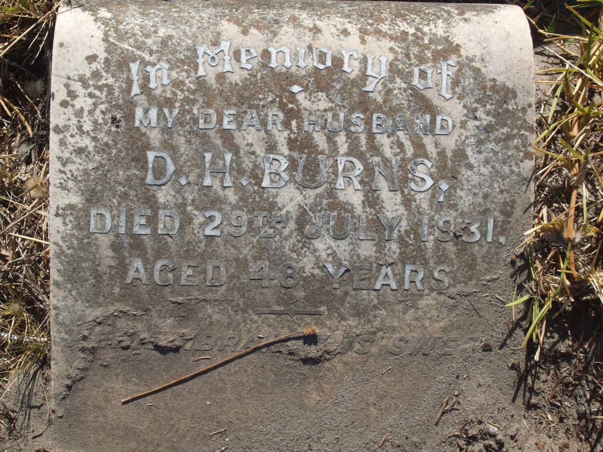 BURNS D.H. -1931