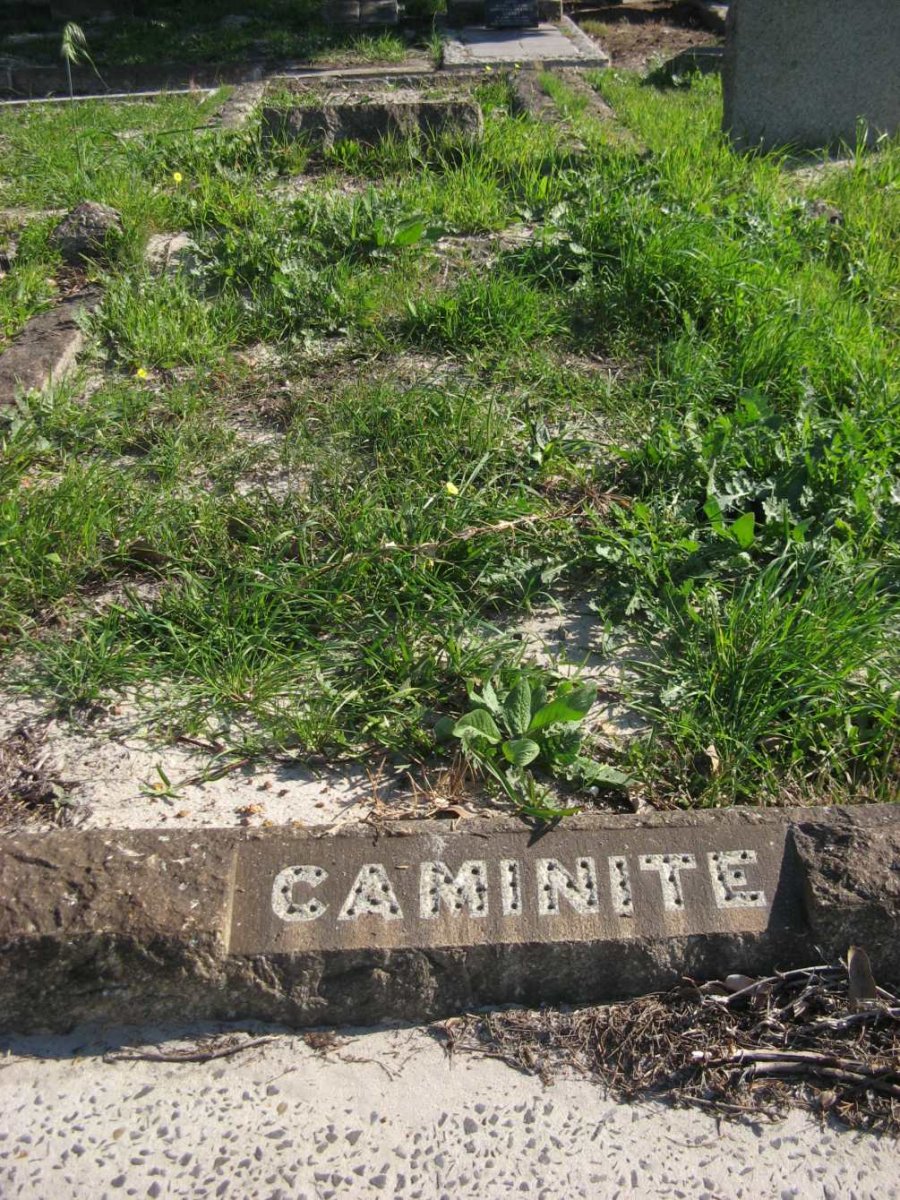 CAMINITE
