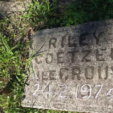 COETZEE Riley nee CROUS -1974