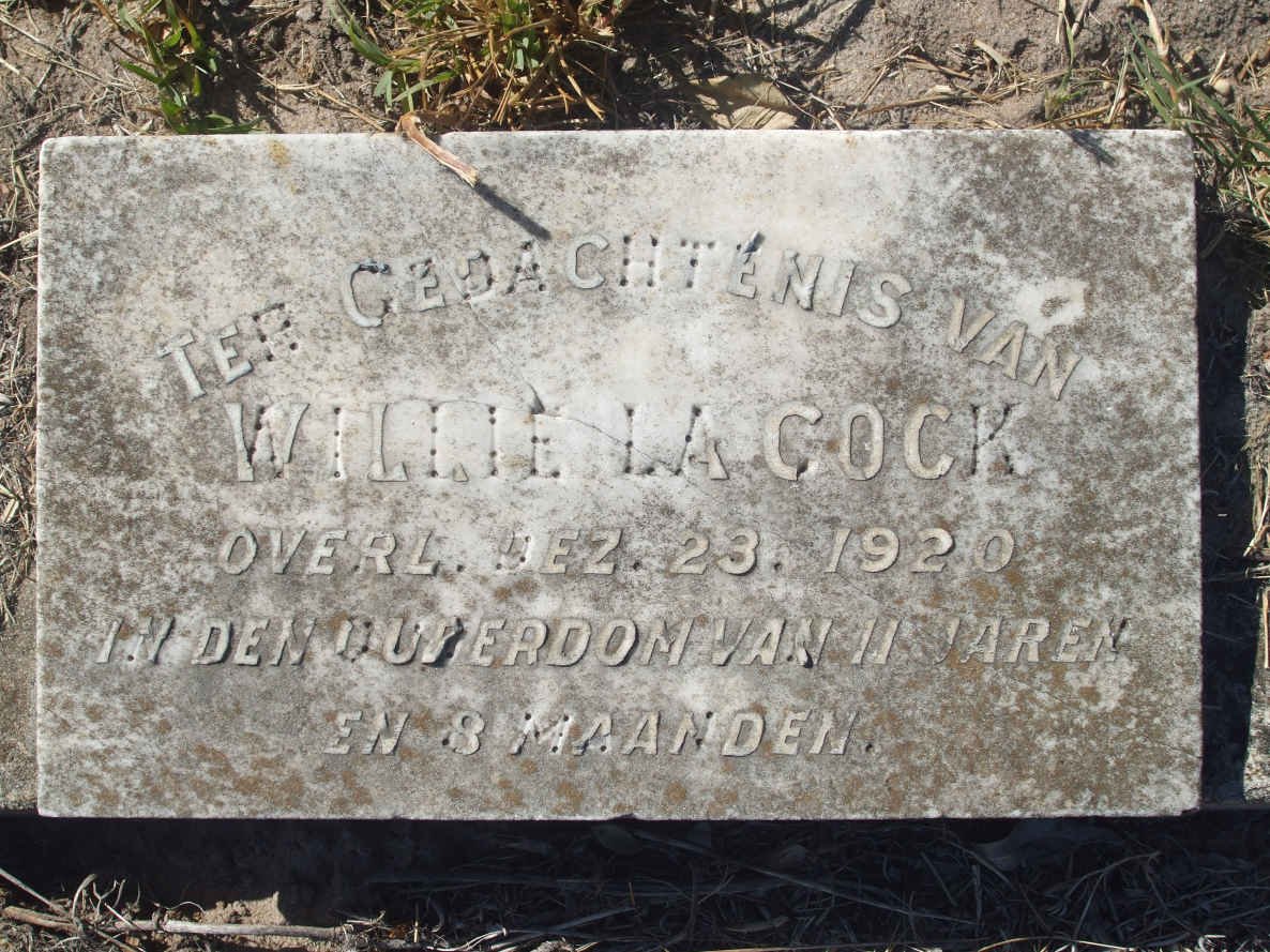 COCK Willie, la -1920