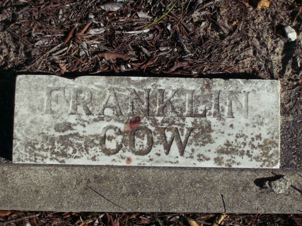 COW Franklin