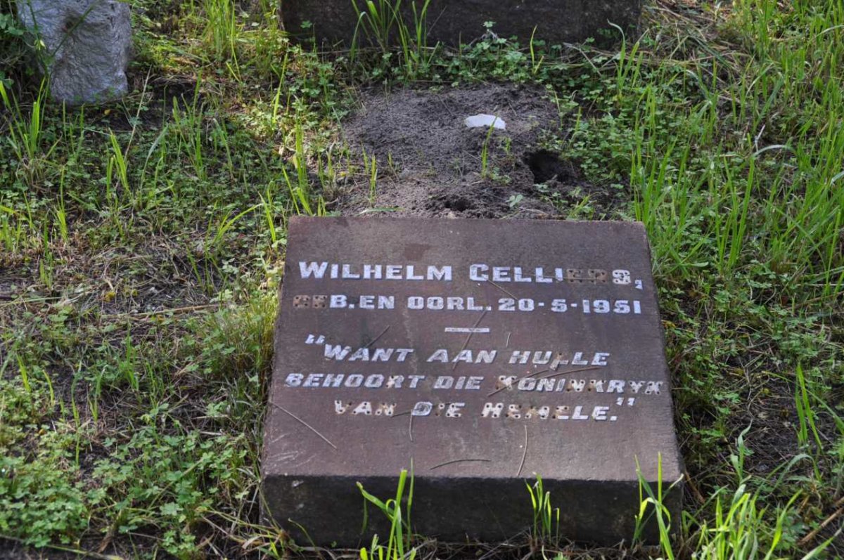 CELLIERS Wilhelm 1951-1951