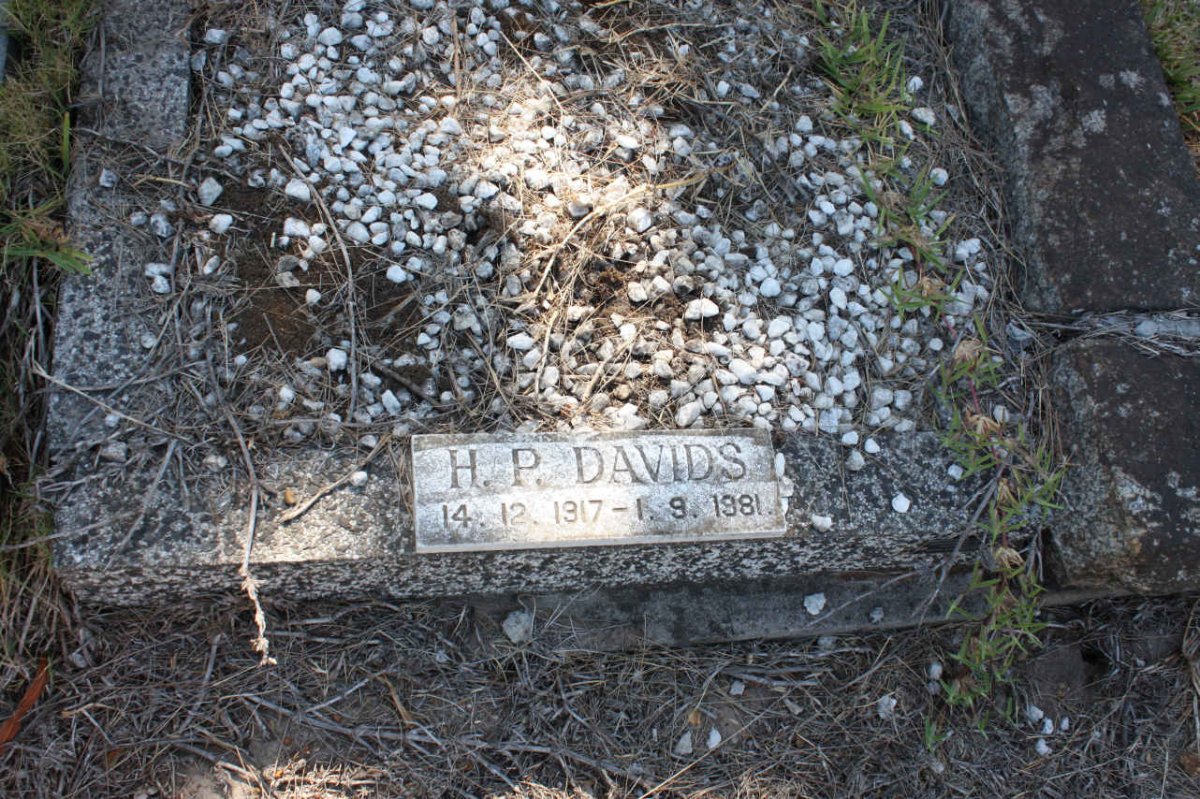 DAVIDS H.P. 1917-1981