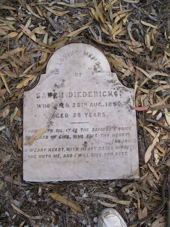 DIEDERICKS Sarah -1895