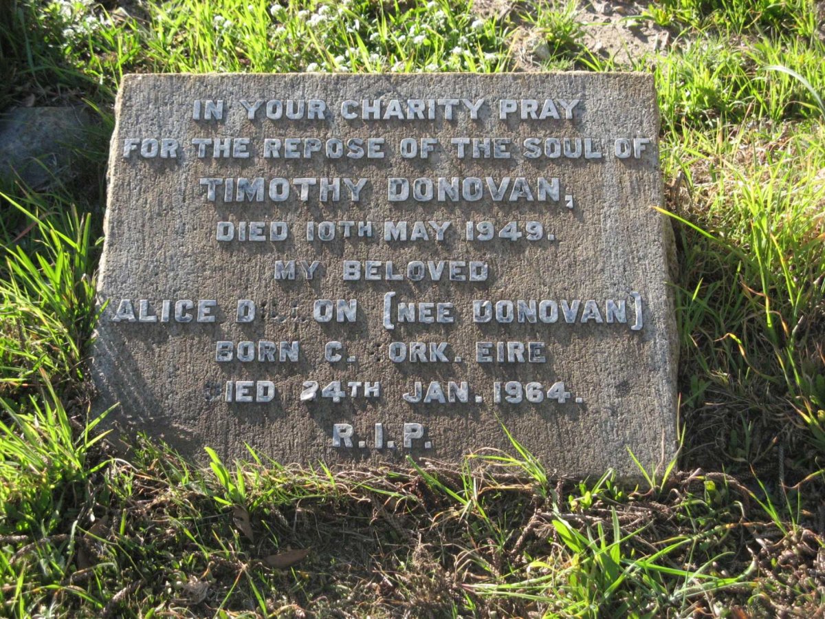 DONOVAN Timothy -1949 :: DILLON Alice nee DONOVAN -1964