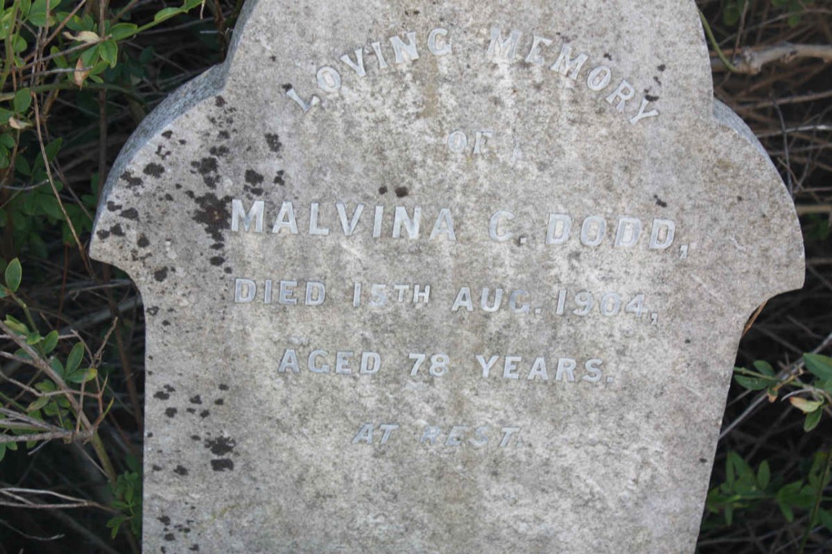 DODD Malvina C. -1904