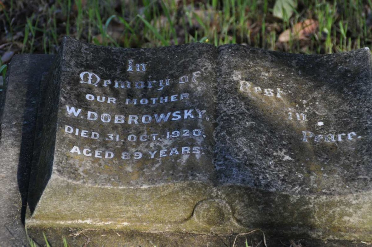 DOBROWSKY W. -1920