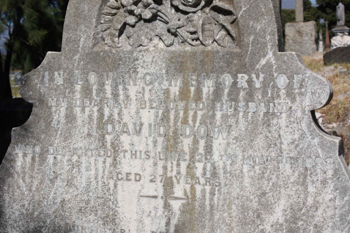 DOW David  -1893