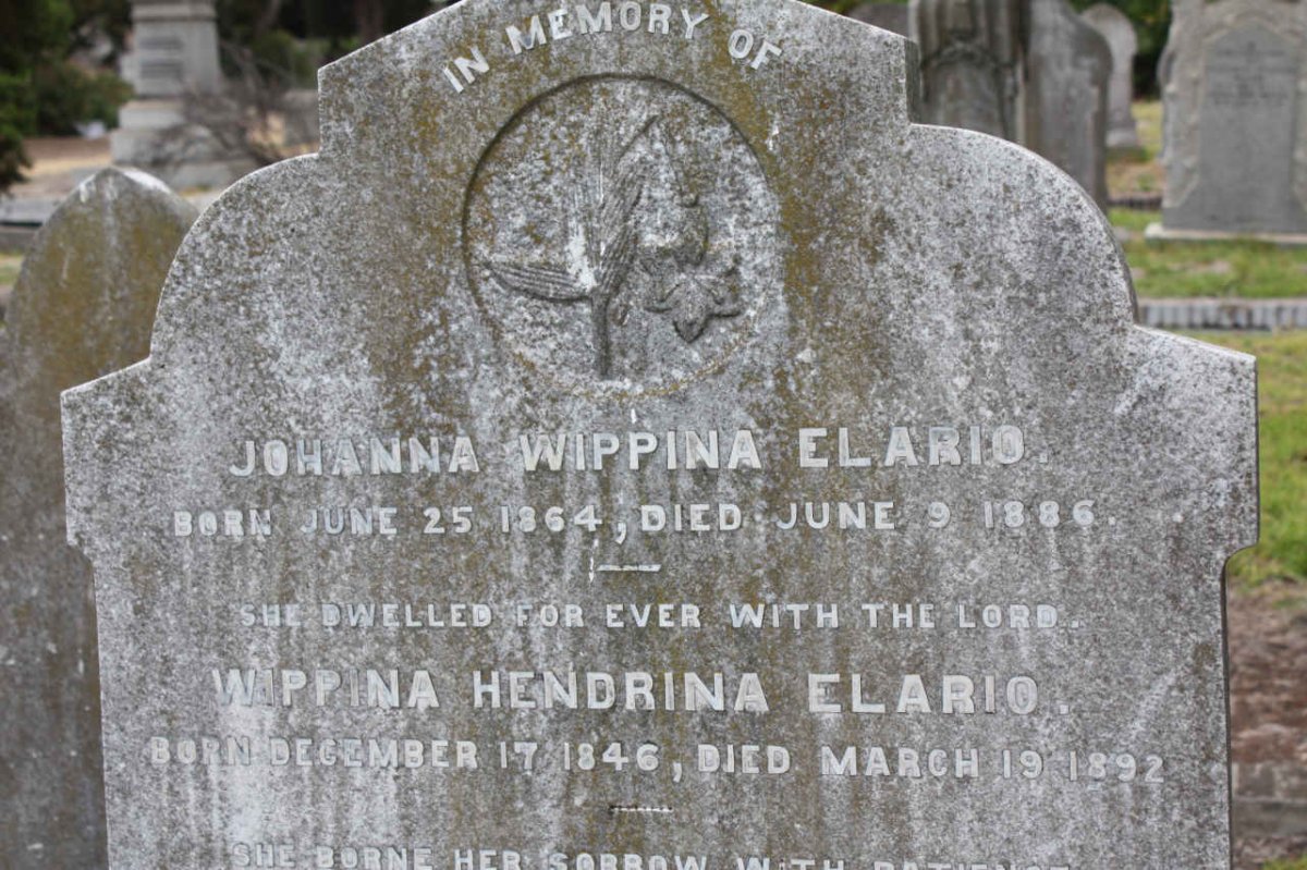 ELARIO Johanna Wippina 1864-1886 :: ELARIO Wippina Hendrina 1846-1892