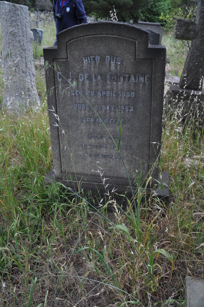 FONTAINE C.J., de la 1880-1953