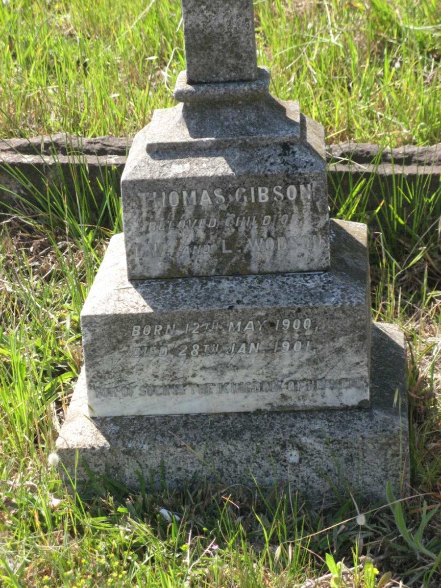 GIBSON Thomas 1900-1901