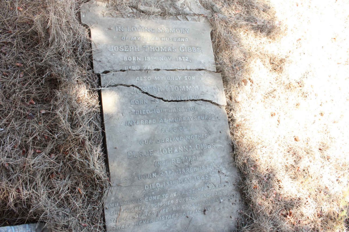 GIBBS Joseph Thomas 1872-1928 &amp; Elsje Johanna RETIEF 1874-1942 :: GIBBS Joseph 1900-1901