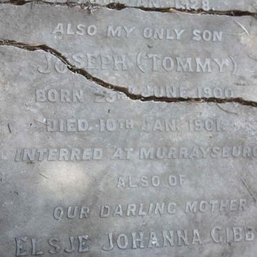 GIBBS Joseph 1900-1902