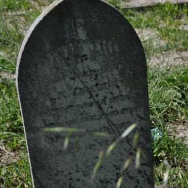 GREGORY A.K. -1919