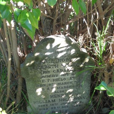 HOLLOWAY Maria Roselie Elizabeth nee CABANO 1851-1904 :: HOLLOWAY Henry William 1876-1898