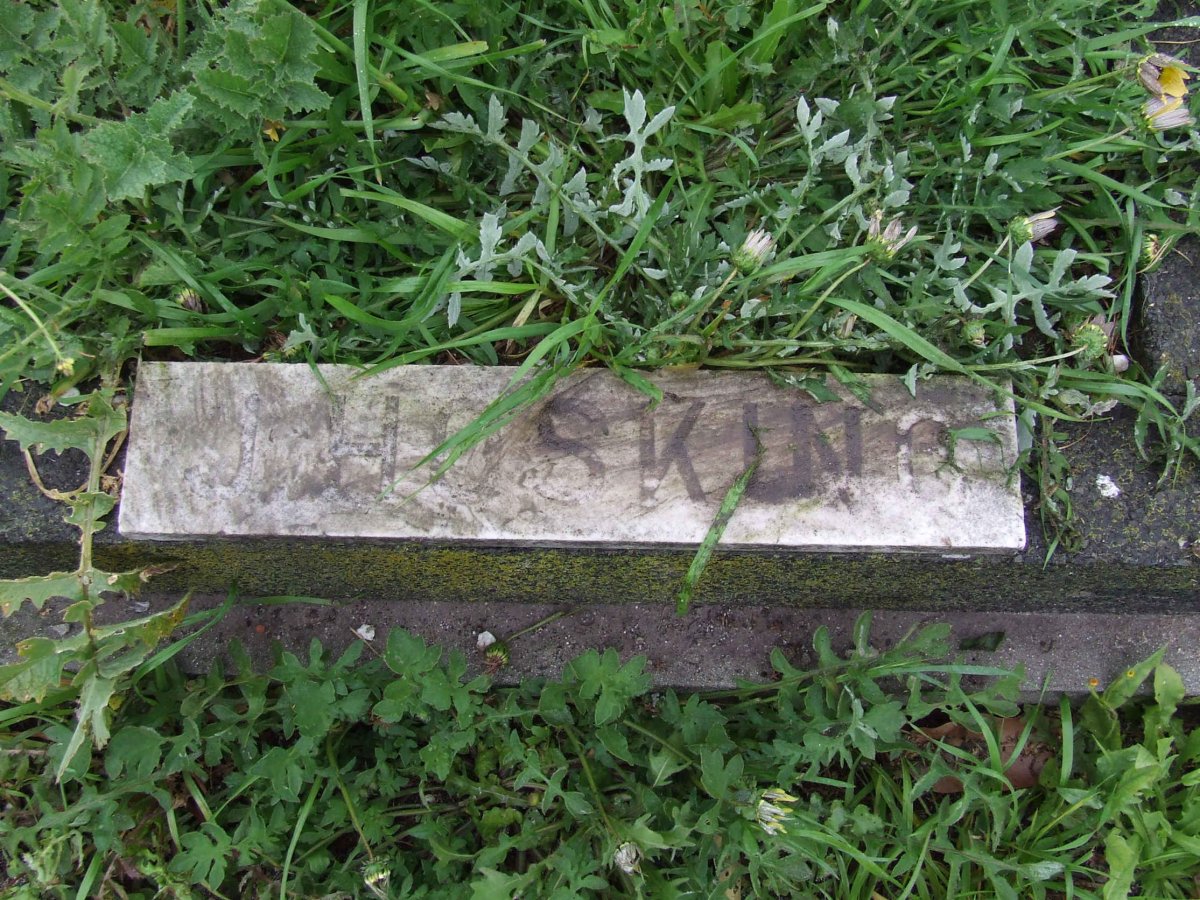 HOSKING J.