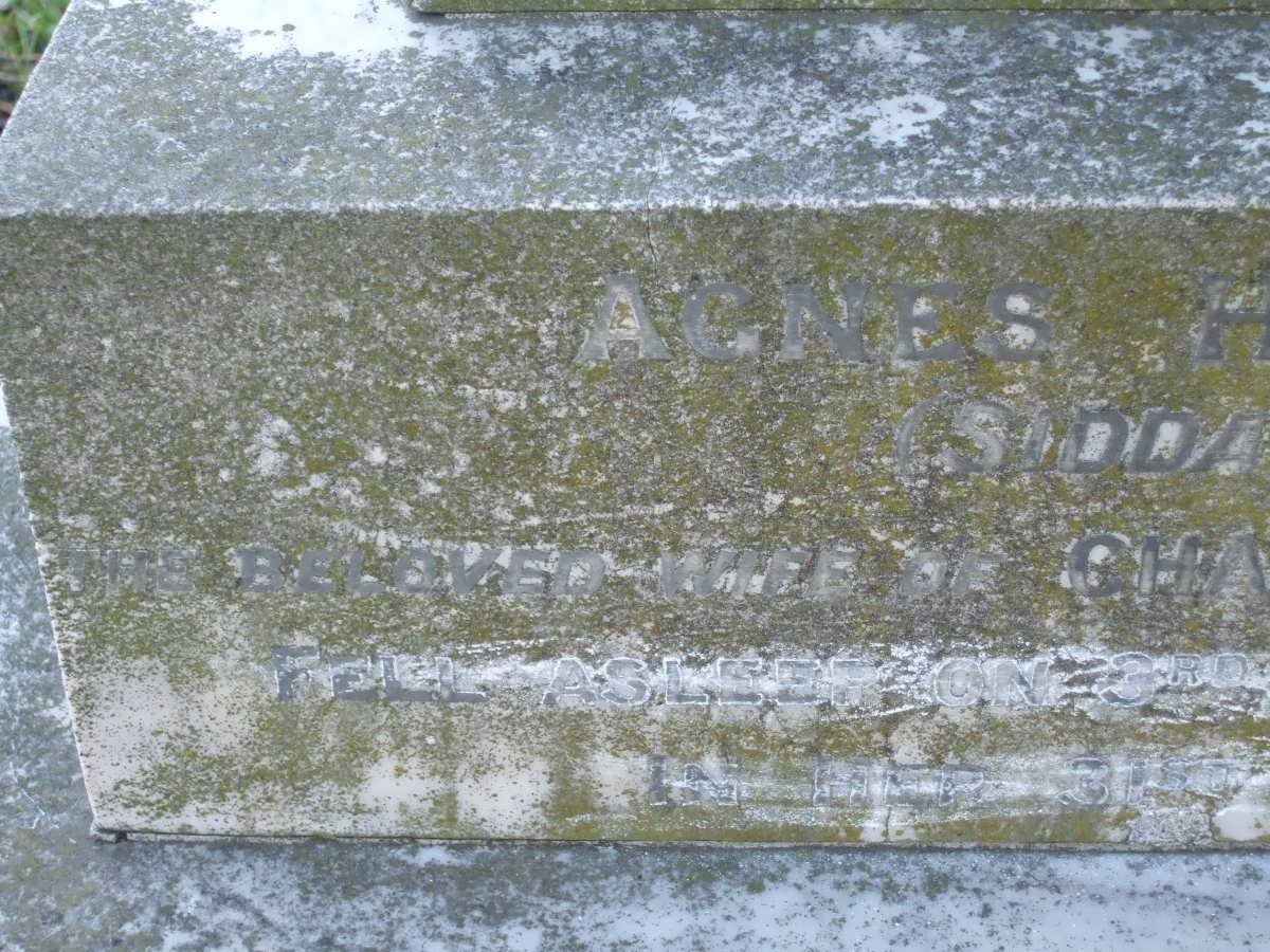 JOHNSON Agnes Hylda nee SIDDA -1914