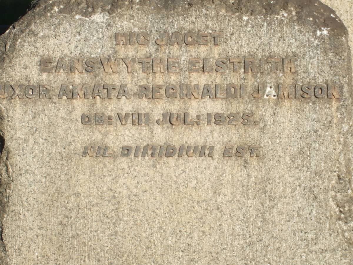 JAMISON Reginaldi -1925