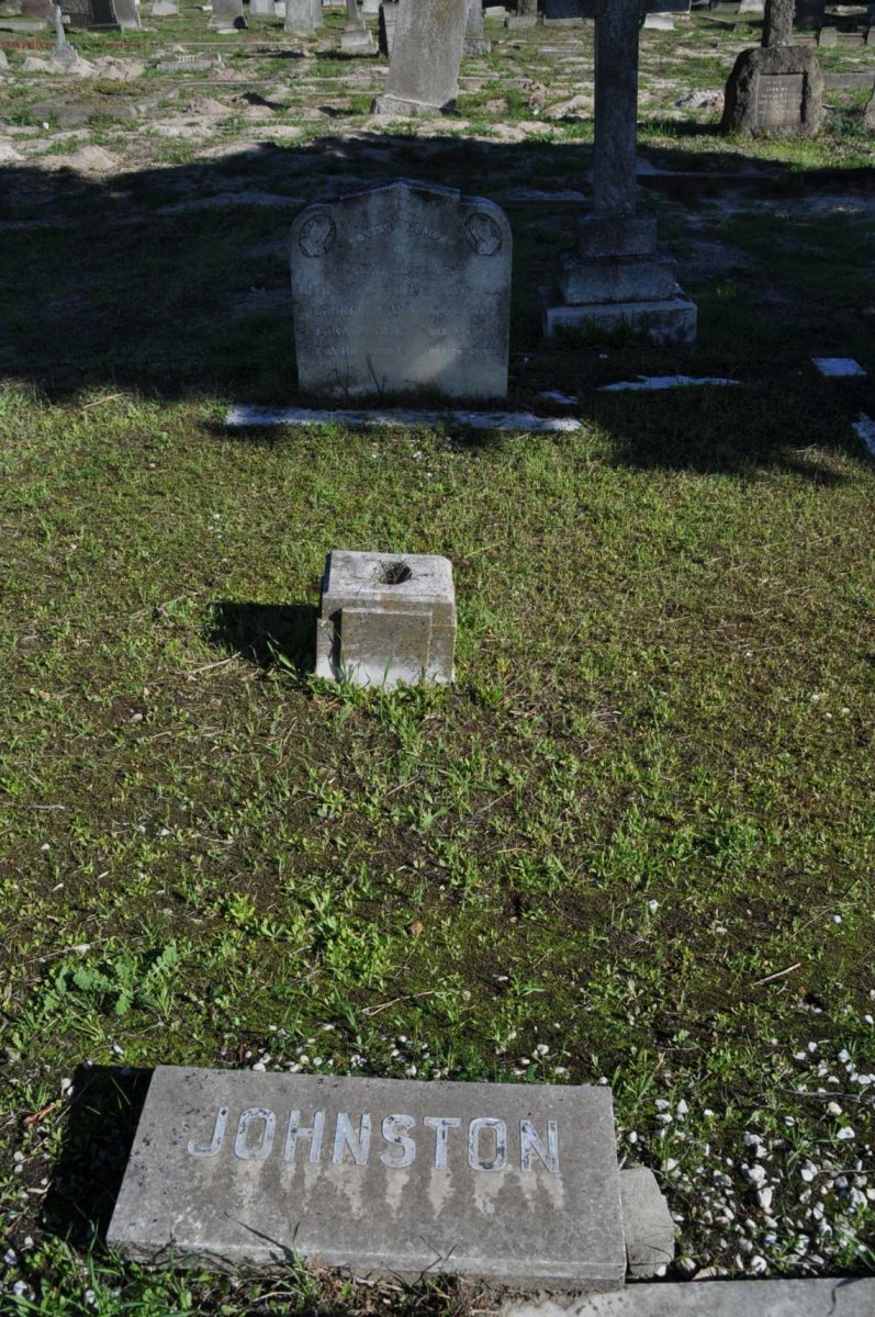 JOHNSTON 