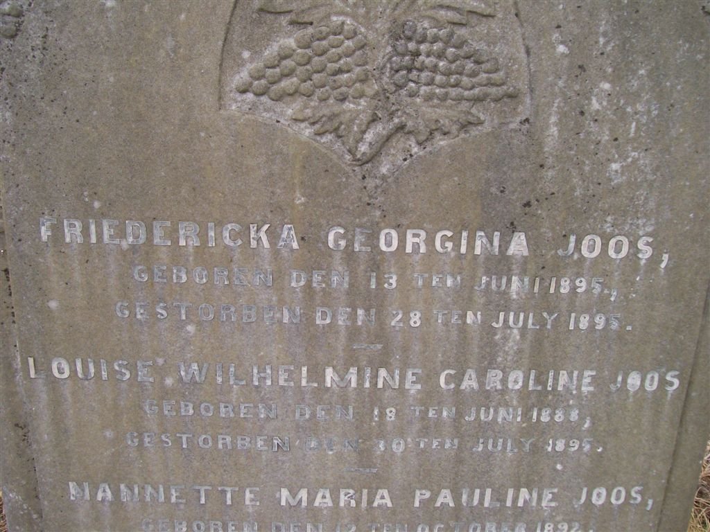 JOOS Fredericka Georgina 1895-1895 :: JOOS Louise Wilhelmine Caroline 1888-1895 :: JOOS Nannette Maria Pauline 1892-1895