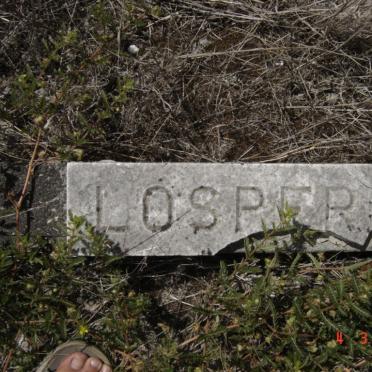 LOSPER