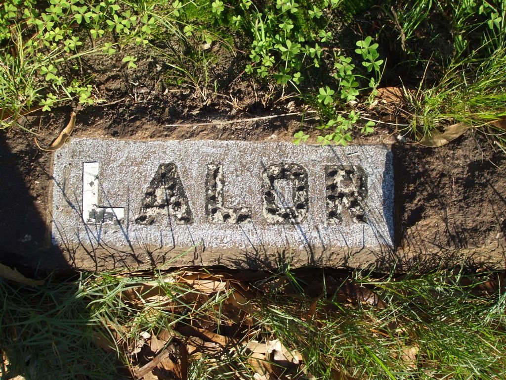 LALOR