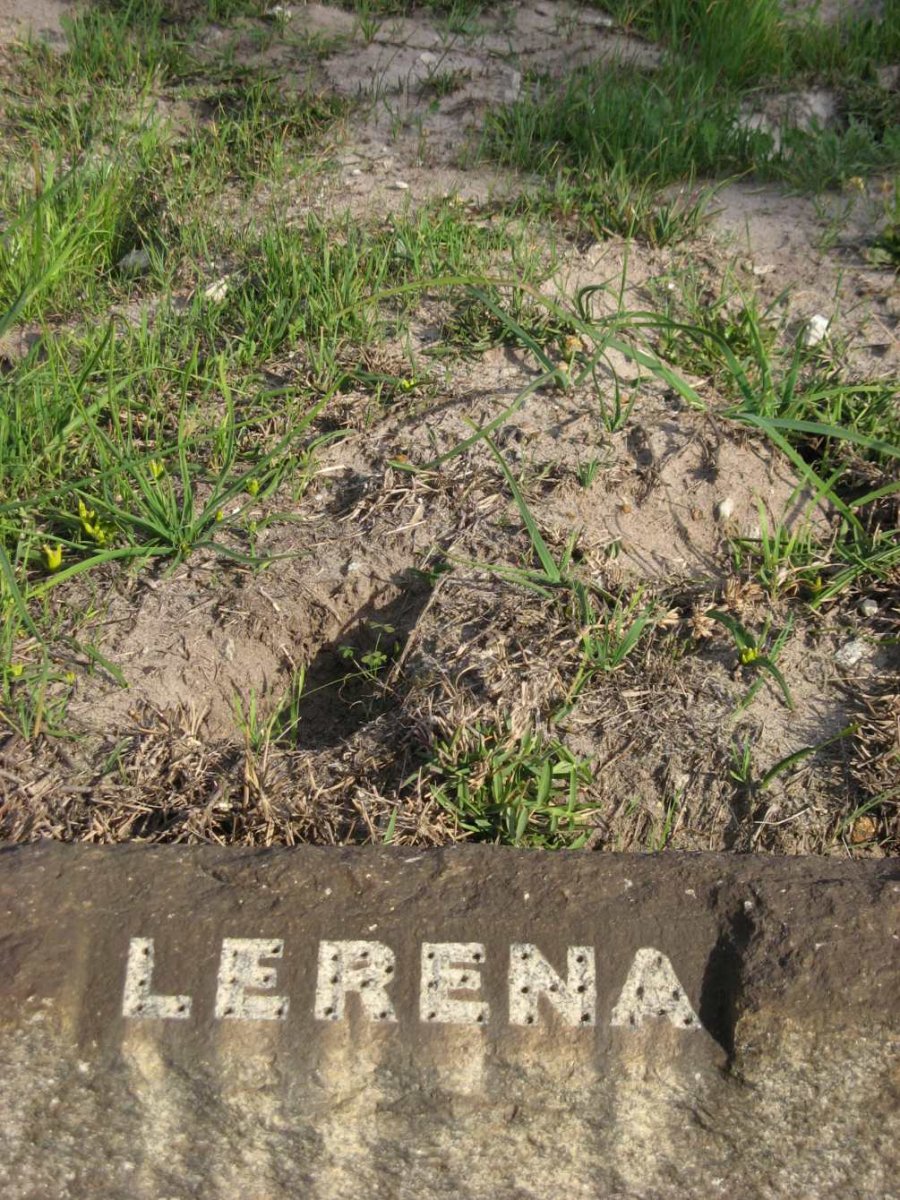 LERENA