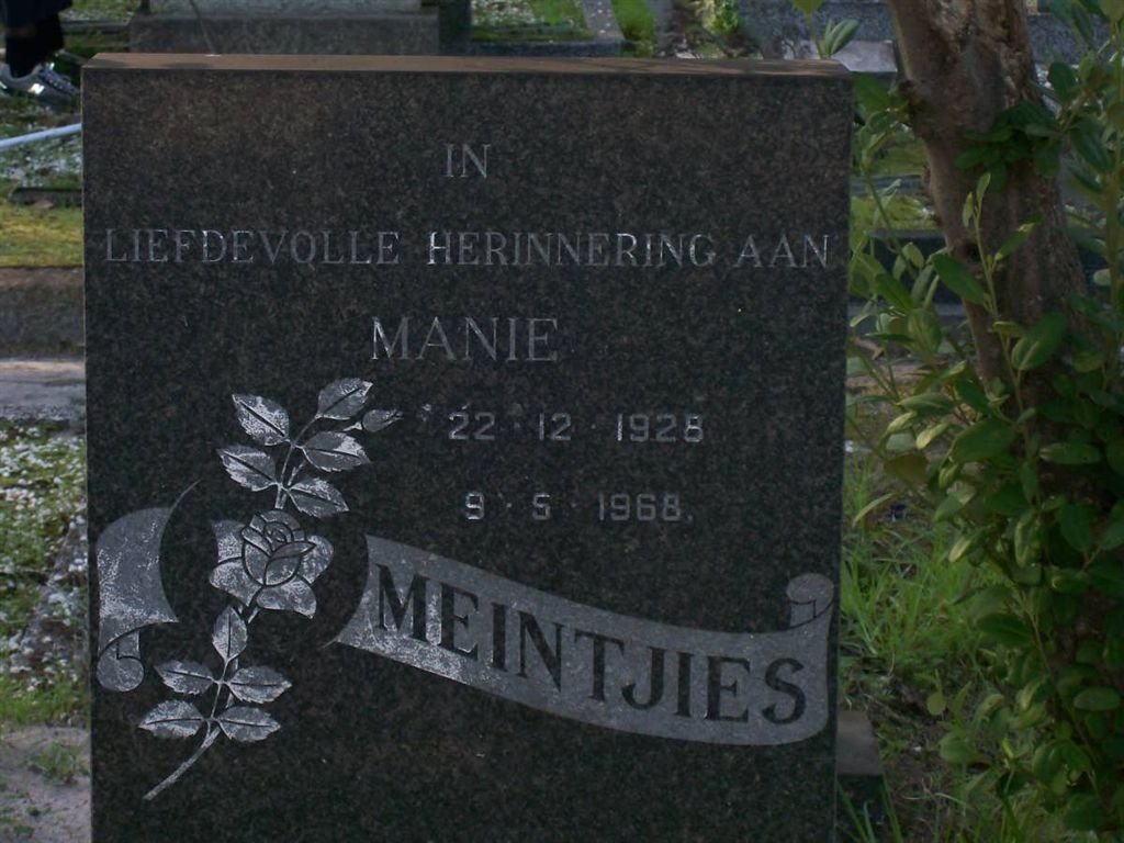 MEINTJIES Manie 1928-1968