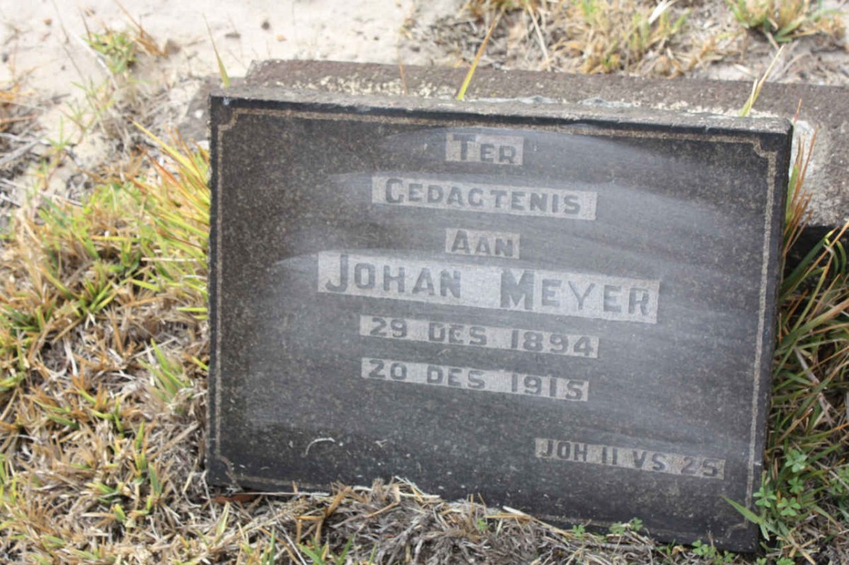 MEYER Johan 1894-1915