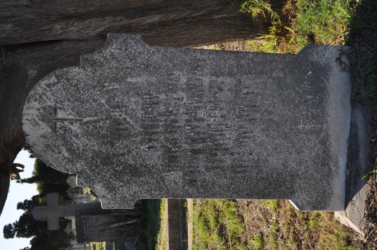 MACLAUGHLIN Archibald 1829-1906