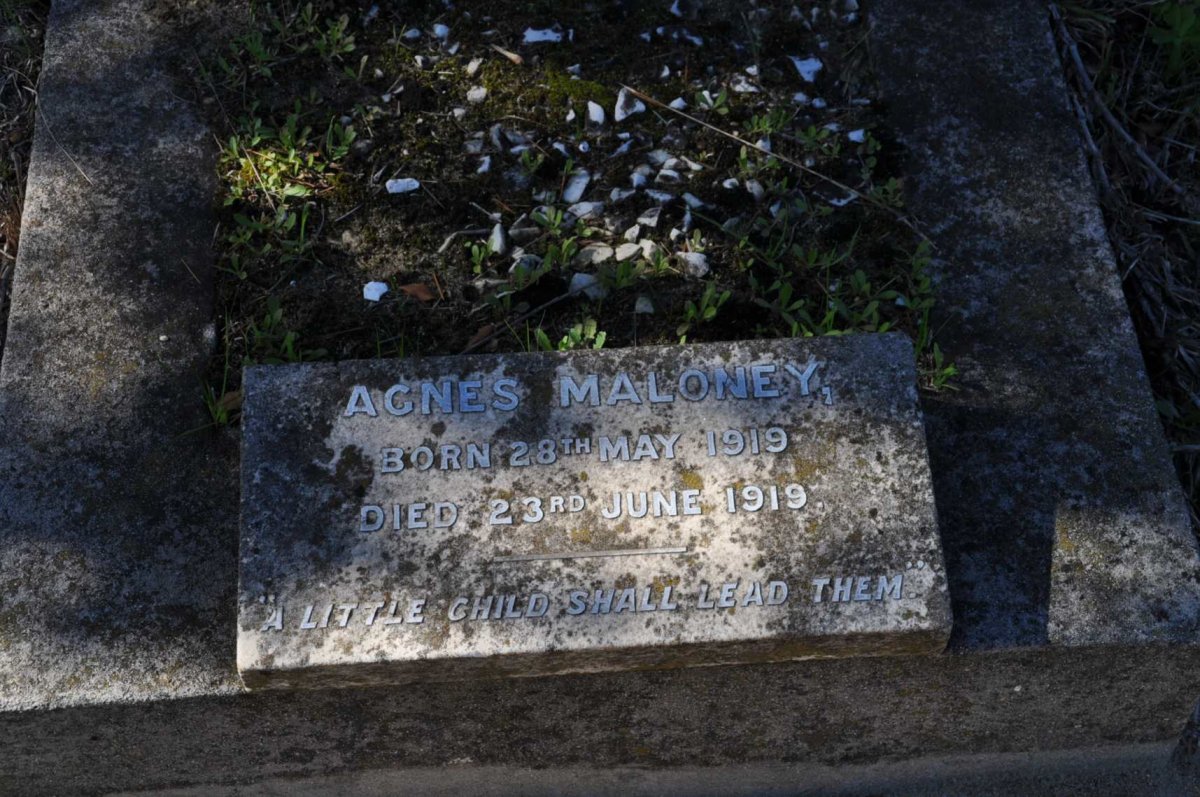 MALONEY Agnes 1919-1919