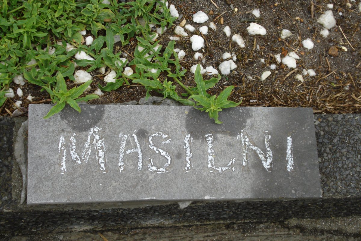 MASILNI