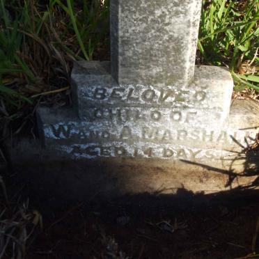MARSHALL Child