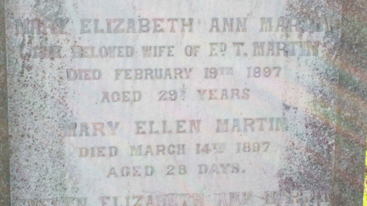 MARTIN Mary Elizabeth Ann -1897 :: MARTIN Mary Ellen -1897