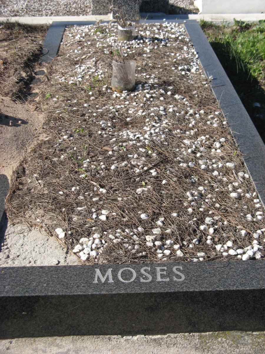 MOSES
