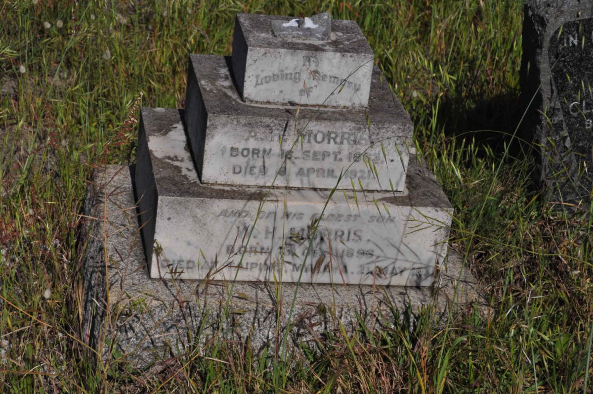 MORRIS A.H. 1863-1921 :: MORRIS W.H. 1896-1931