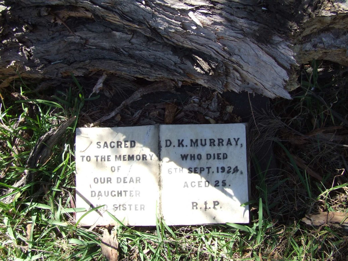 MURRAY D.K. -1924