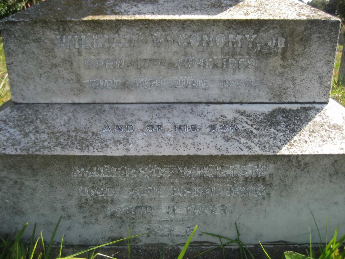 McCONOMY William 1859-1898 :: McCONOMY Wilfred William -1896