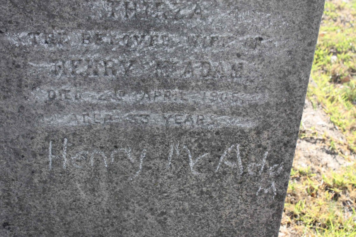 Mc ADAM  T. -1905