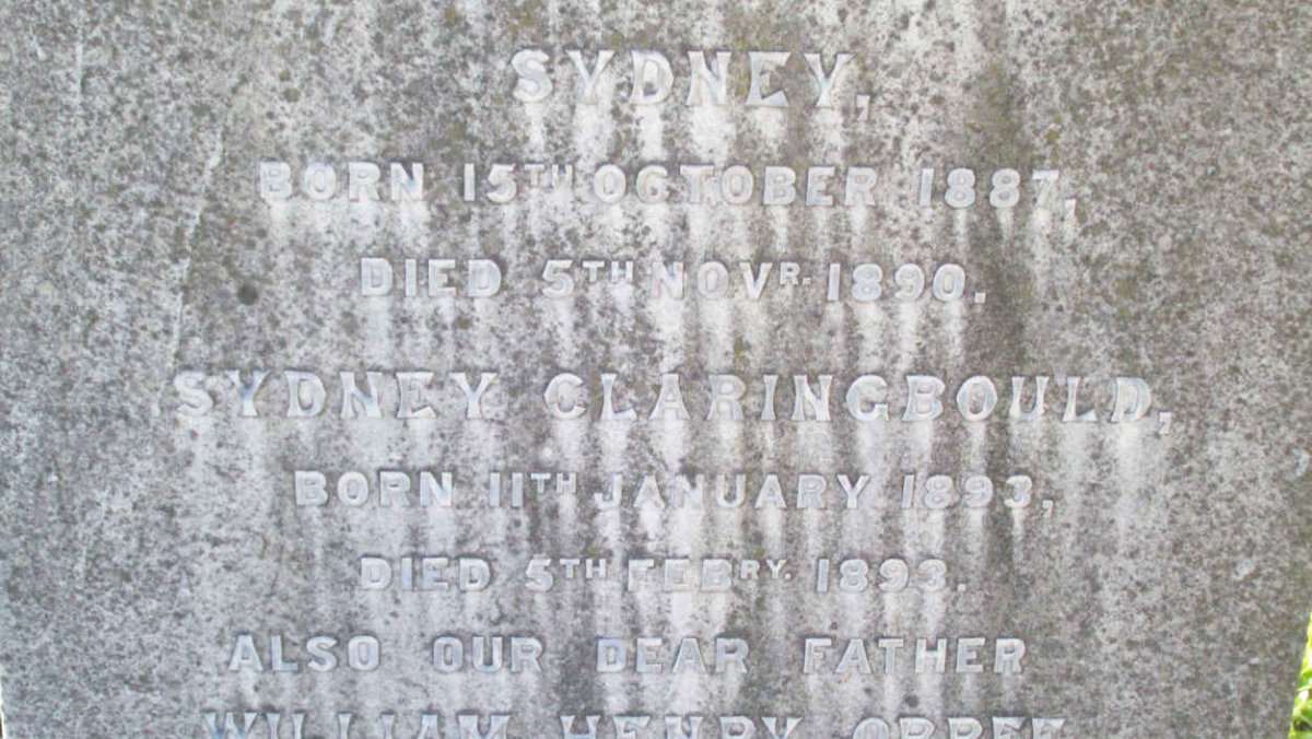O`BREE Sydney 1887-1890 :: O`BREE Sydney Calringbould 1893-1893