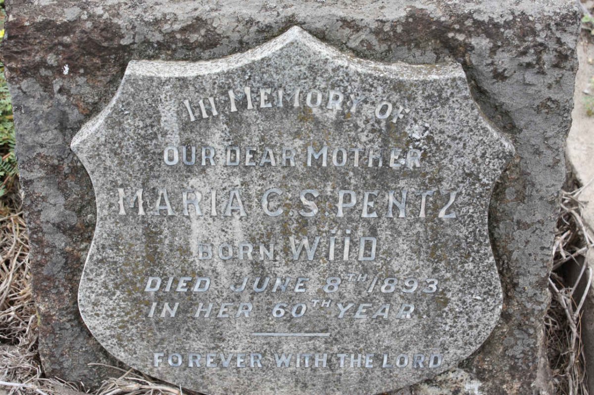 PENTZ Maria C.S. nee WIID -1893