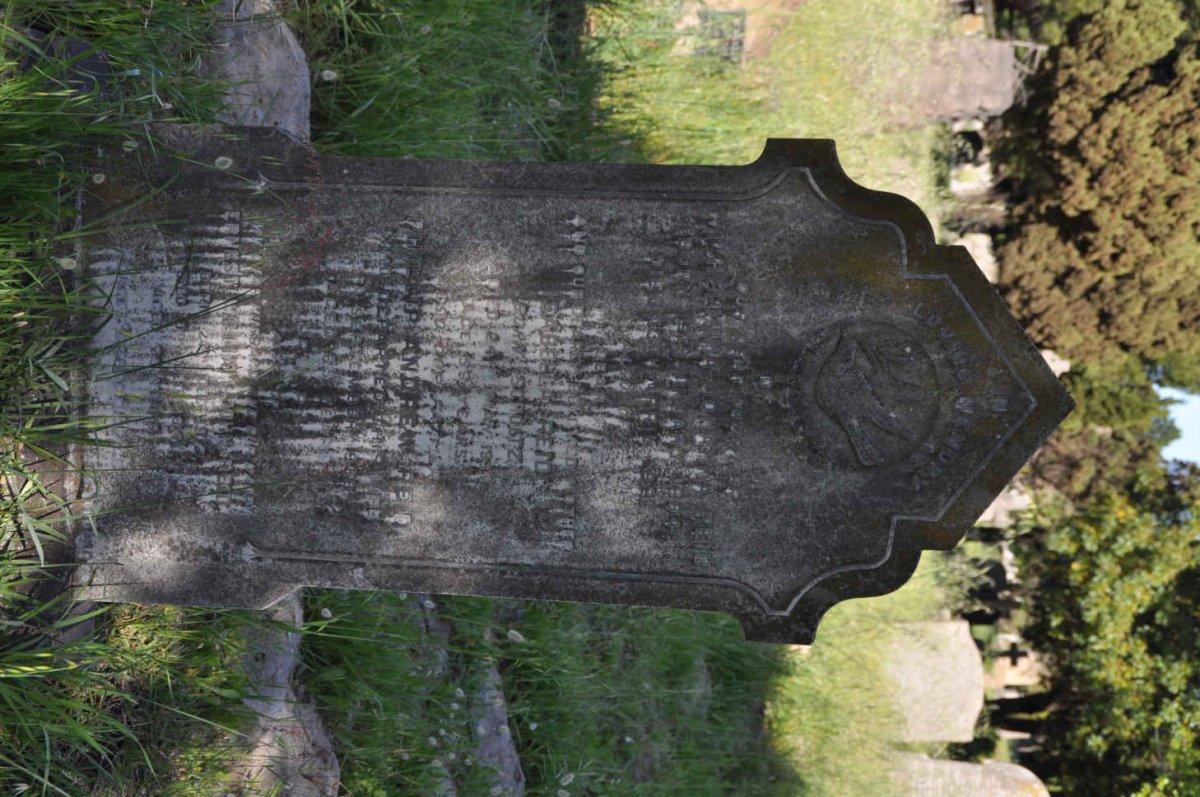 REID Phillip Andrew -1938 &amp; Isabella SCHOLTZ -1934 :: REID Wilhelmina Johanna 1894-1921 :: REID Ernest William John