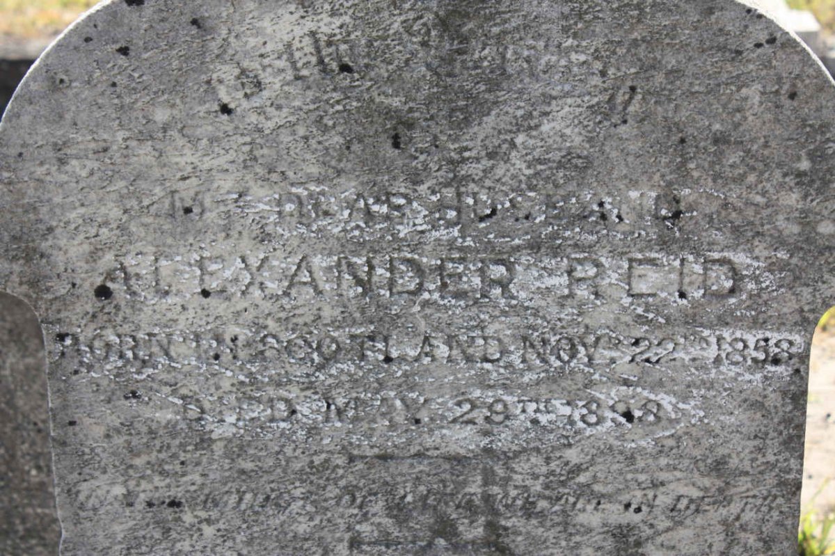 REID Alexander 1858-1898