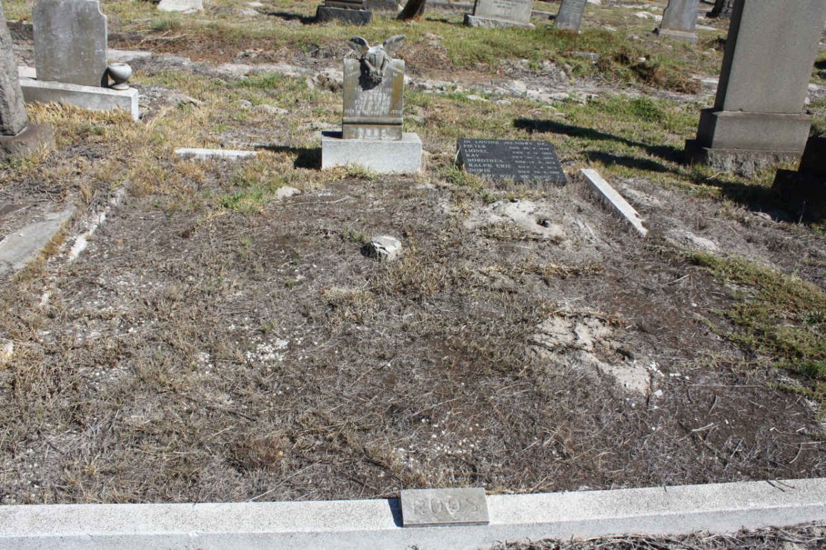 Overview of ROOS-graves