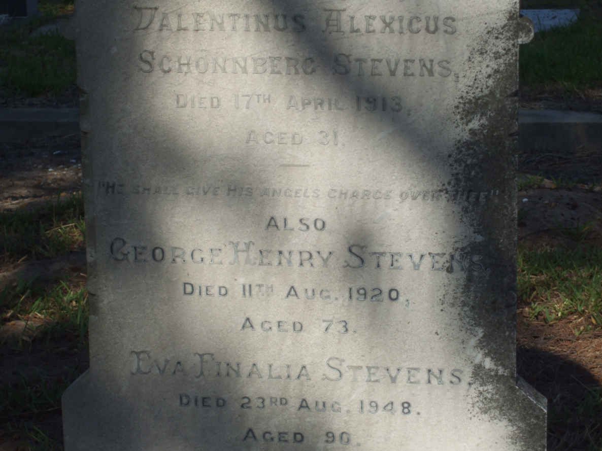 STEVENS Valentinus Alexicus Schonberg -1913 :: STEVENS George Henry -1920 &amp; Eva Finalia -1948